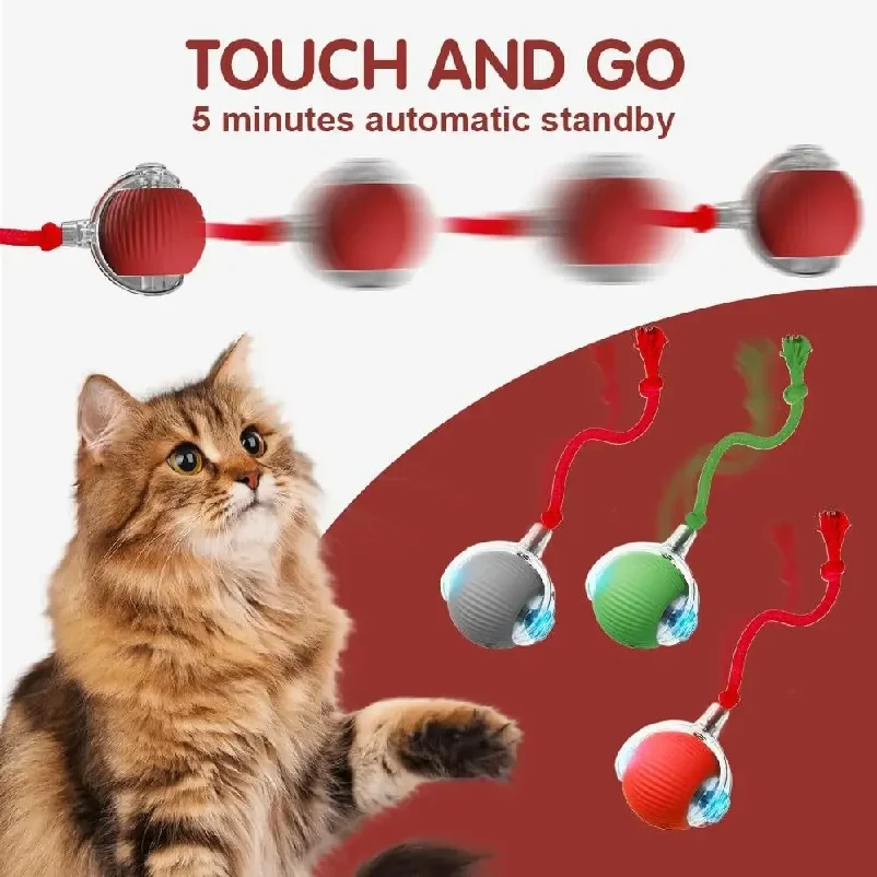 kf-Sbea2567ed88640a2ba97c6b4304ecbees New Cat Interactive Ball Toy,Automatic Rolling Cat Ball Rechargeable,Smart Kitten Interactive Toy,Intelligent Balls Toy for Cat - Image 6