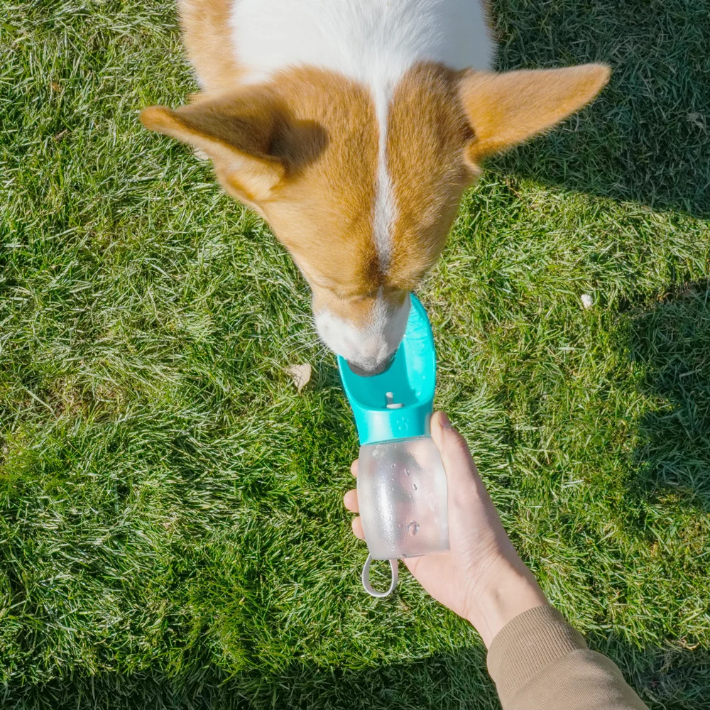 kf-Sfd783d33fc4241409cb62e80473a6106R Pet Dog Water Bottle 300ML Puppy Drinking Bowls For Small Medium Dogs Cats Hiking Portable Cat Feeder Golden Retriever Supplies - Image 3